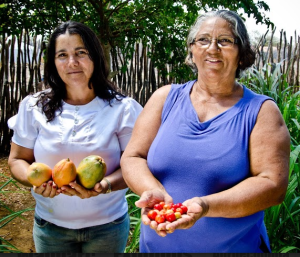 foto de Jackson Angell (1)