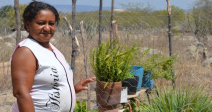 ????????????????????????????????????