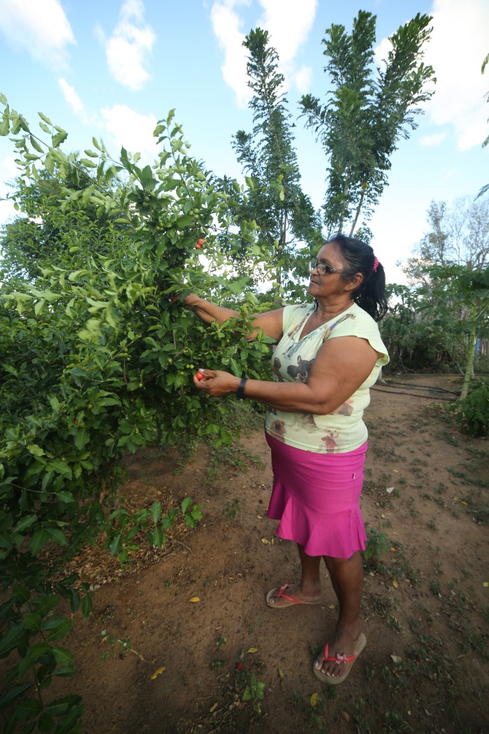 Alvani 4- Foto de Wigna Ribeiro