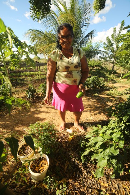 Dona Alvani Pereira, Upanema RN. Foto de Wigna Ribeiro